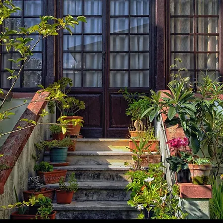 Massimo 3* Viareggio