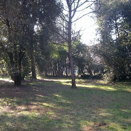 Hotel Massimo 3*