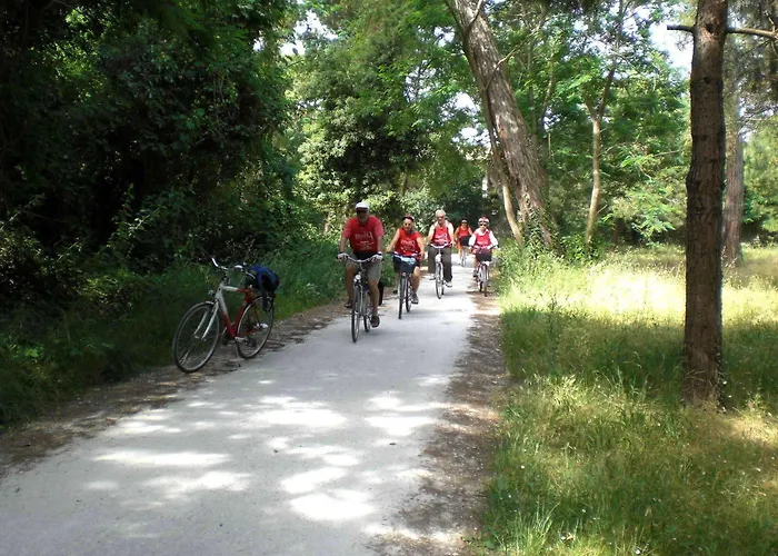 Отель Massimo 3*